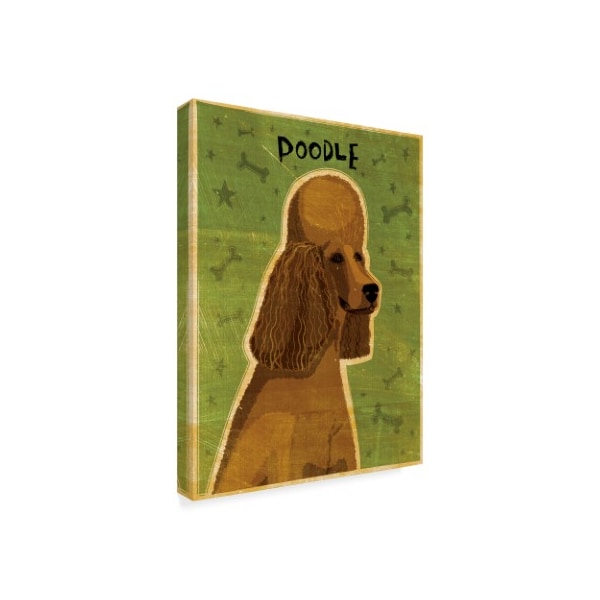 John W. Golden 'Poodle' Canvas Art,14x19